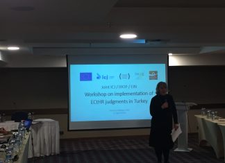Türkiye’de Avrupa İnsan Hakları Mahkemesi Kararlarının Uygulanması Çalıştayı
