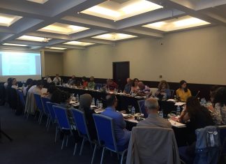 Birleşmiş Milletler İnsan Hakları Mekanizmalarının Kararlarının Türkiye’de Uygulanması Çalıştayı