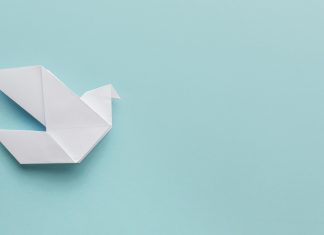 BARIŞÇIL GÖSTERİ HAKKI TEMEL BİR İNSAN HAKKIDIR, ENGELLENEMEZ!